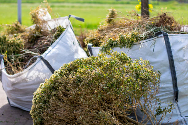 Best Trash Removal Near Me  in Red Cloud, NE